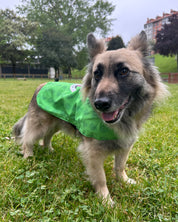 CHUBASQUERO PARA PERRO